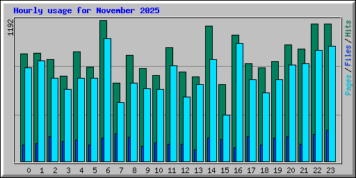 Hourly usage for November 2025