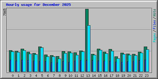 Hourly usage for December 2025