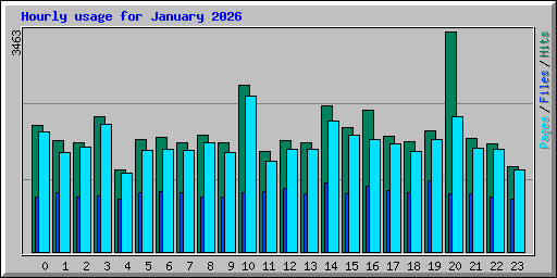 Hourly usage for January 2026